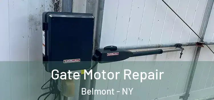 Gate Motor Repair Belmont - NY