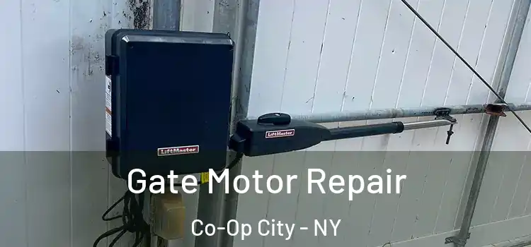  Gate Motor Repair Co-Op City - NY