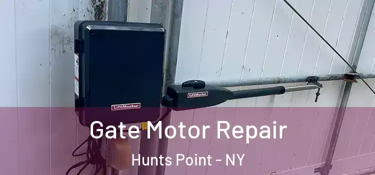 Gate Motor Repair Hunts Point - NY