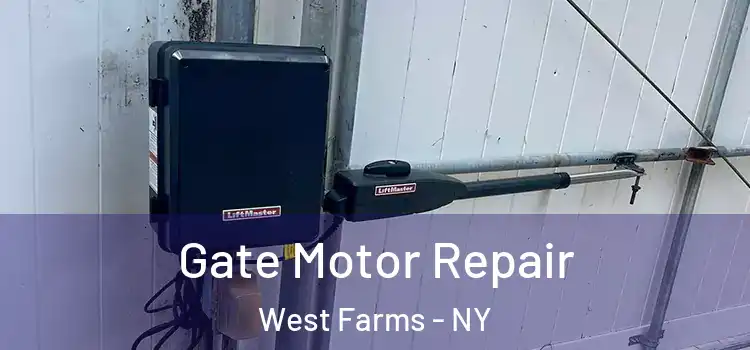  Gate Motor Repair West Farms - NY