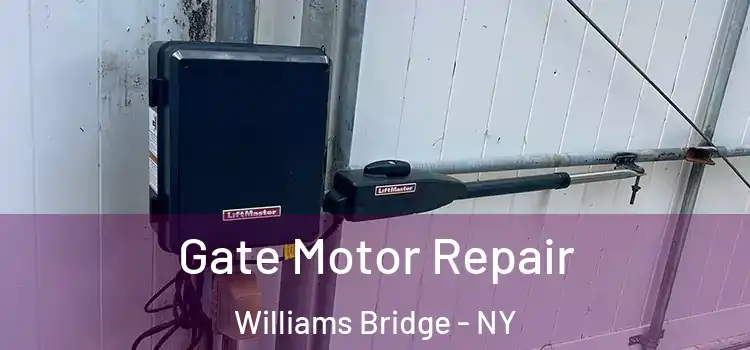 Gate Motor Repair Williams Bridge - NY