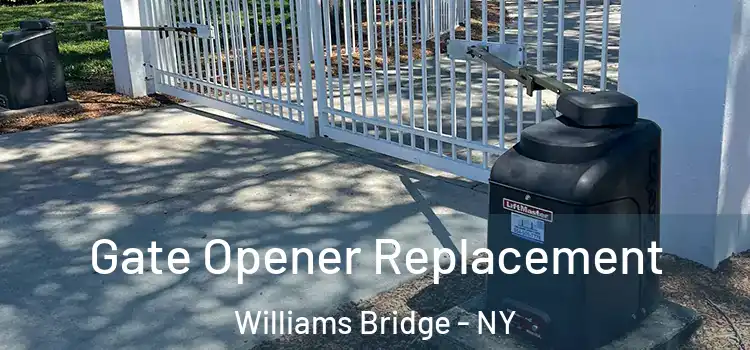 Gate Opener Replacement Williams Bridge - NY