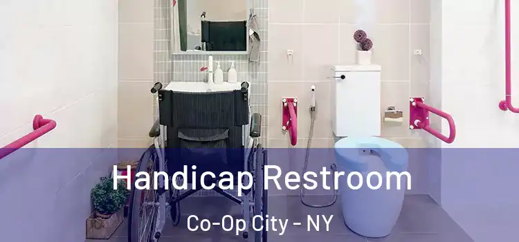 Handicap Restroom Co-Op City - NY