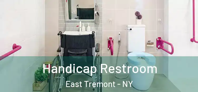 Handicap Restroom East Tremont - NY
