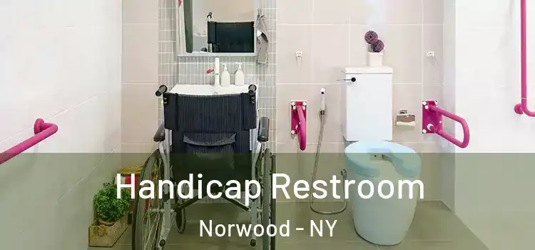 Handicap Restroom Norwood - NY
