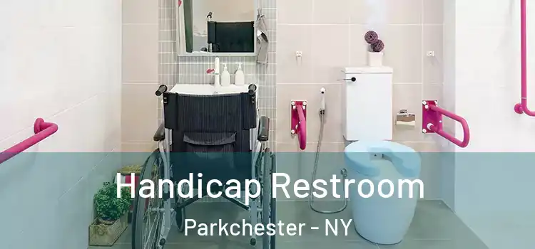 Handicap Restroom Parkchester - NY
