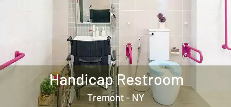 Handicap Restroom Tremont - NY
