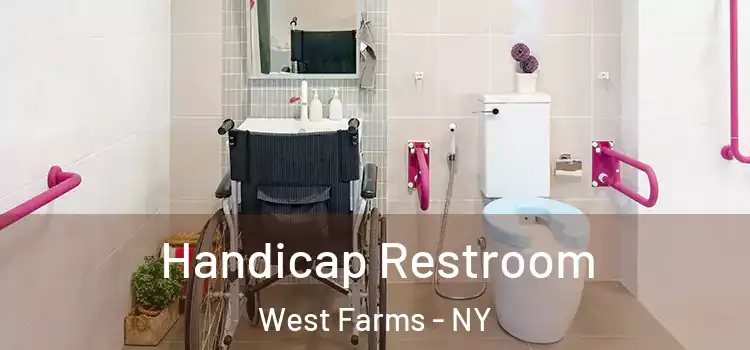 Handicap Restroom West Farms - NY