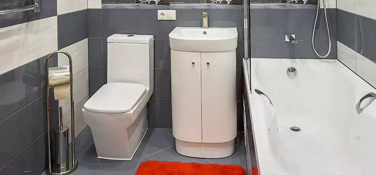 Hansgrohe Shaving Mirror Bronx