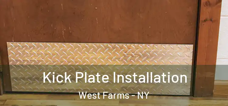 Kick Plate Installation West Farms - NY