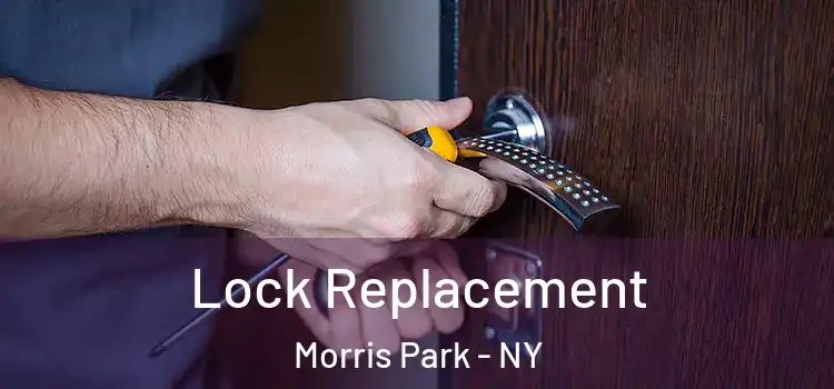 Lock Replacement Morris Park - NY