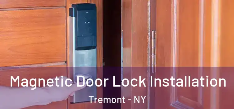  Magnetic Door Lock Installation Tremont - NY