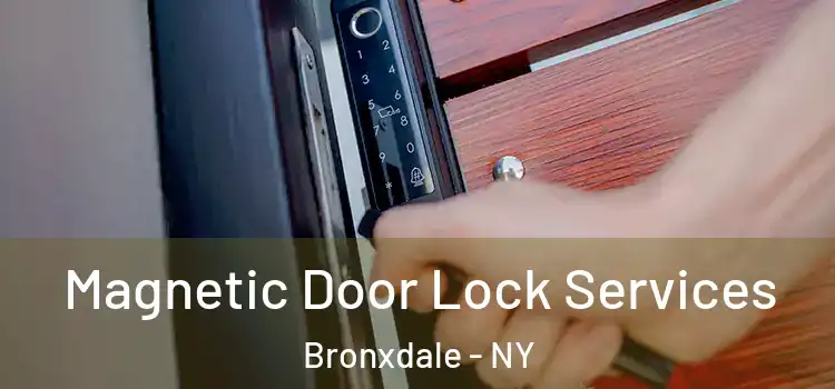 Magnetic Door Lock Services Bronxdale - NY