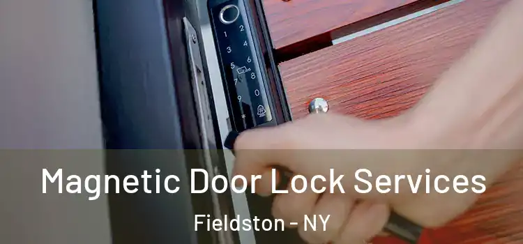  Magnetic Door Lock Services Fieldston - NY
