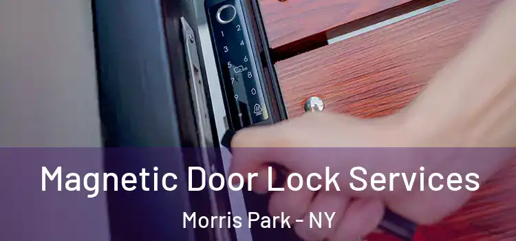  Magnetic Door Lock Services Morris Park - NY