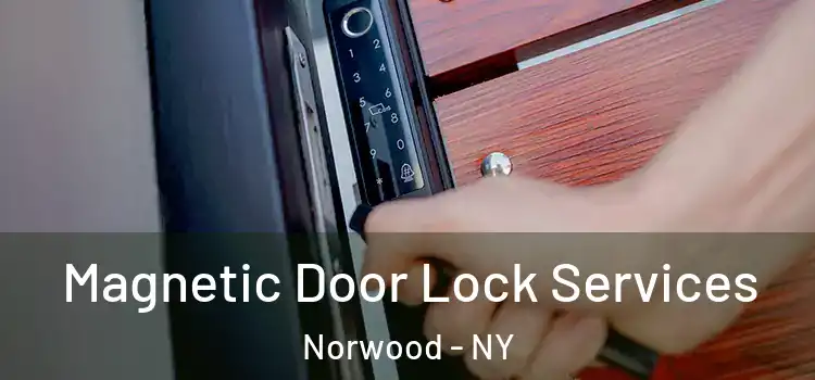 Magnetic Door Lock Services Norwood - NY