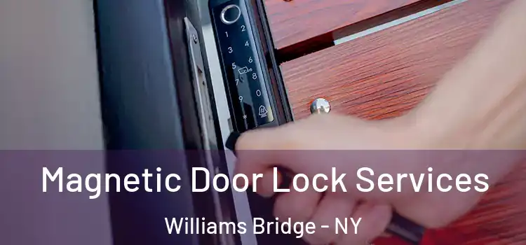 Magnetic Door Lock Services Williams Bridge - NY