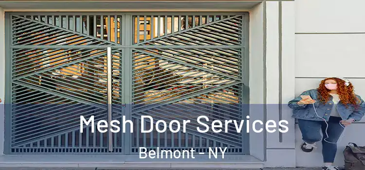  Mesh Door Services Belmont - NY