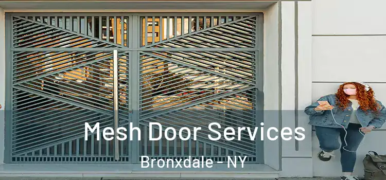  Mesh Door Services Bronxdale - NY