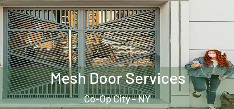 Mesh Door Services Co-Op City - NY