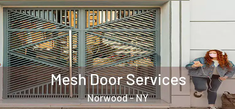 Mesh Door Services Norwood - NY