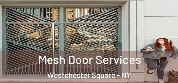Mesh Door Services Westchester Square - NY