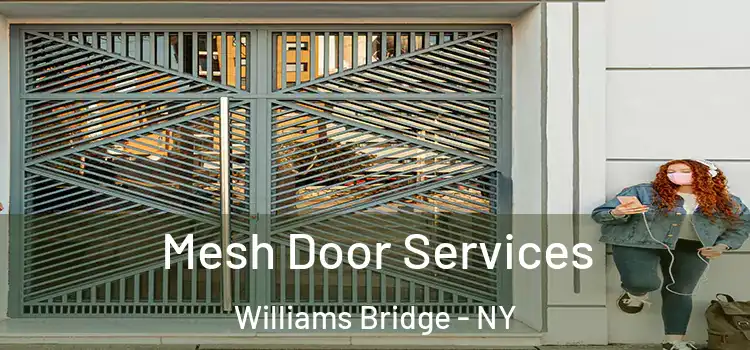 Mesh Door Services Williams Bridge - NY