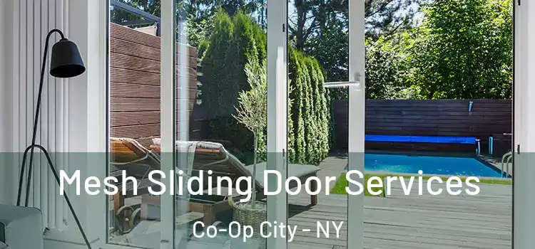 Mesh Sliding Door Services Co-Op City - NY