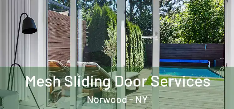 Mesh Sliding Door Services Norwood - NY
