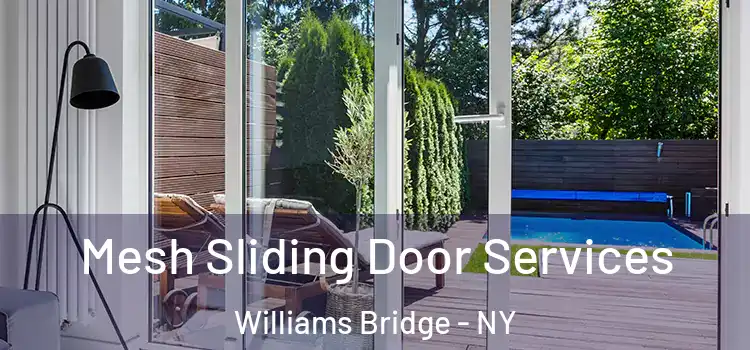  Mesh Sliding Door Services Williams Bridge - NY