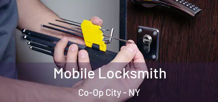 Mobile Locksmith Co-Op City - NY