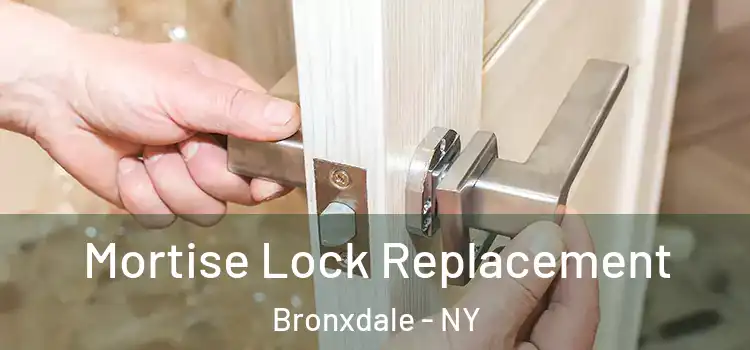 Mortise Lock Replacement Bronxdale - NY
