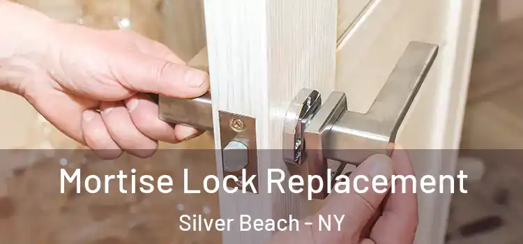 Mortise Lock Replacement Silver Beach - NY