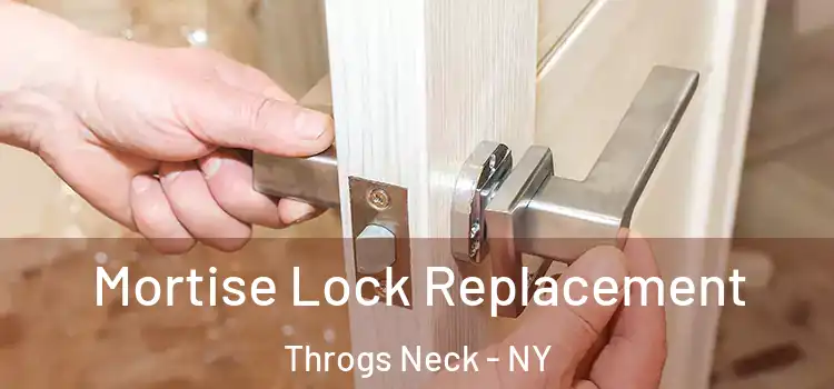  Mortise Lock Replacement Throgs Neck - NY