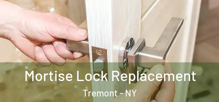 Mortise Lock Replacement Tremont - NY
