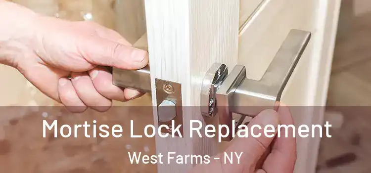  Mortise Lock Replacement West Farms - NY