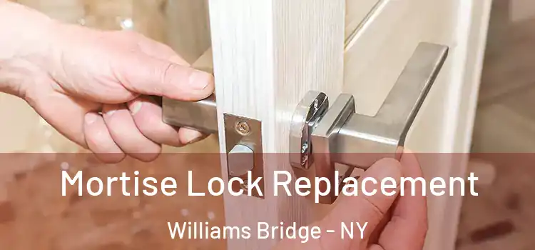 Mortise Lock Replacement Williams Bridge - NY