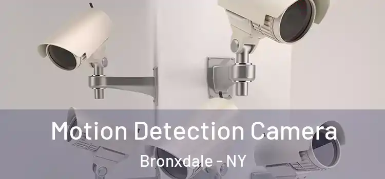  Motion Detection Camera Bronxdale - NY
