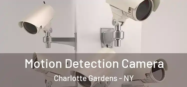  Motion Detection Camera Charlotte Gardens - NY