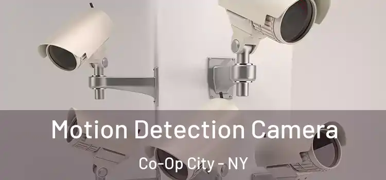  Motion Detection Camera Co-Op City - NY