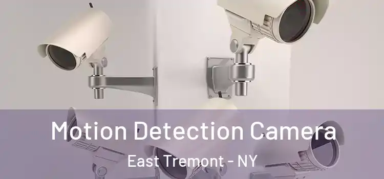  Motion Detection Camera East Tremont - NY