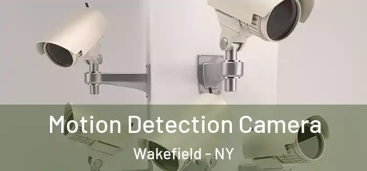  Motion Detection Camera Wakefield - NY