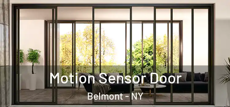 Motion Sensor Door Belmont - NY