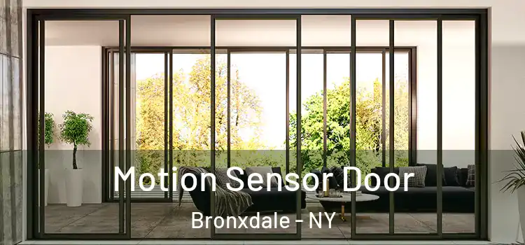 Motion Sensor Door Bronxdale - NY