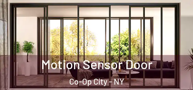 Motion Sensor Door Co-Op City - NY