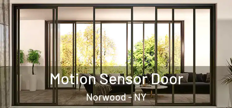 Motion Sensor Door Norwood - NY
