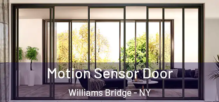  Motion Sensor Door Williams Bridge - NY