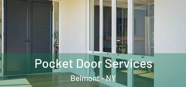  Pocket Door Services Belmont - NY