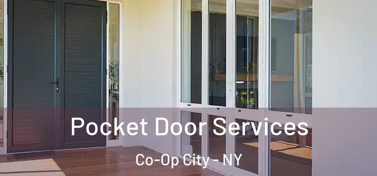 Pocket Door Services Co-Op City - NY