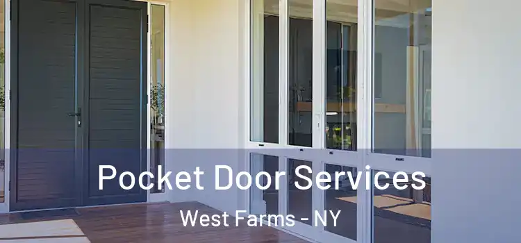 Pocket Door Services West Farms - NY